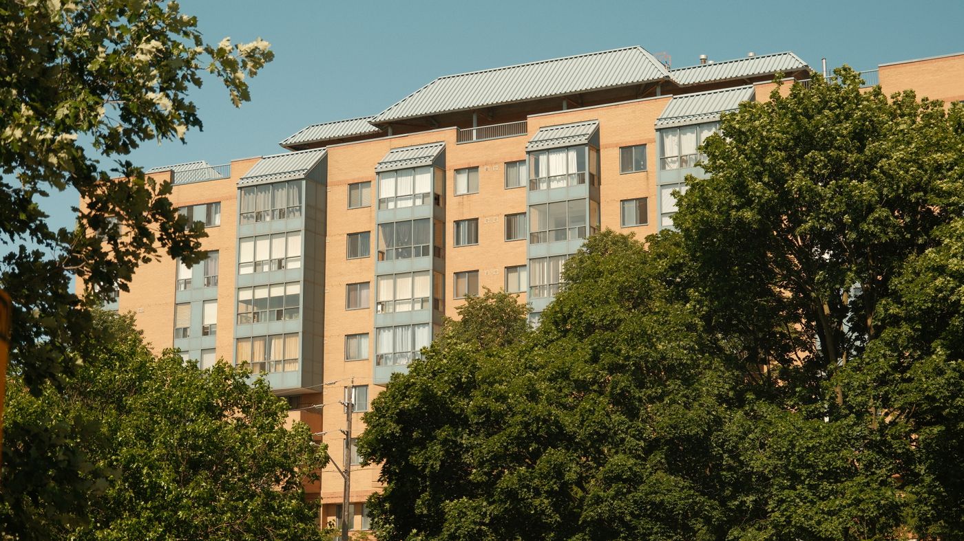 Mid-rise apartment building with bay windows rising behind sunlit trees