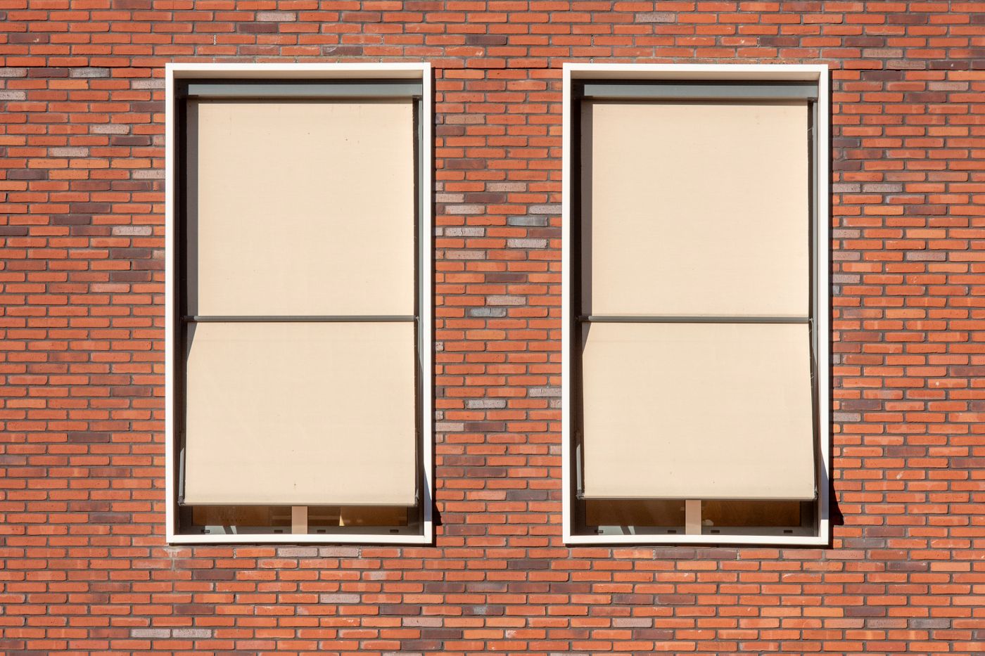 Two identical windows with cream blinds set side by side in a red brick wall